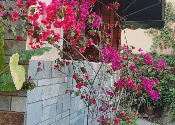 Private Parking 2Συν1 Συγχρονο Διαμερισμα Daire Selanik